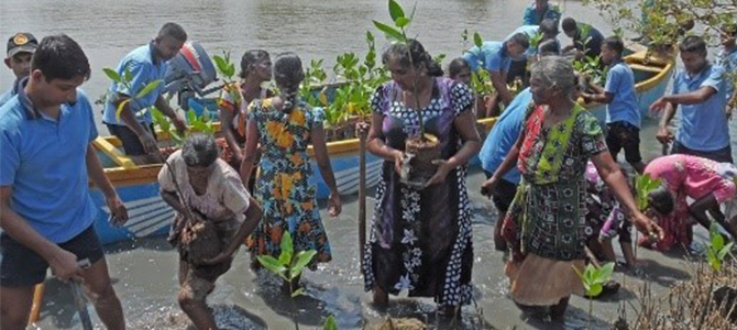 Nu Skin partners with Seacology to preserve fragile environments and provide economic opportunity in Sri Lanka. 